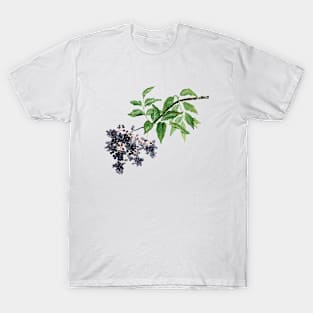 July 25th birthday flower T-Shirt